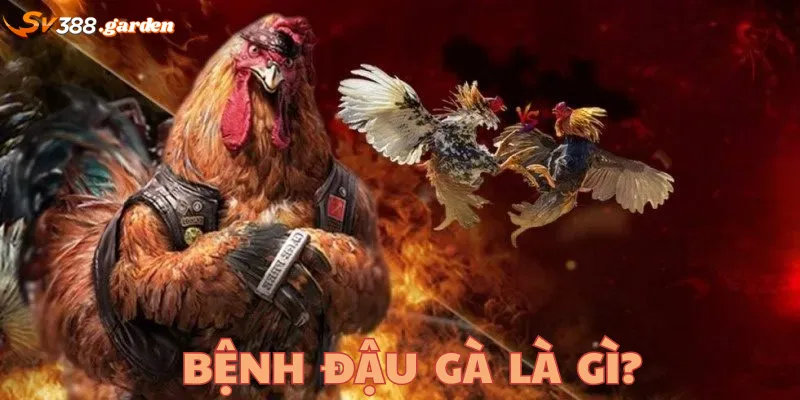 Tìm hiểu bệnh đậu gà là gì